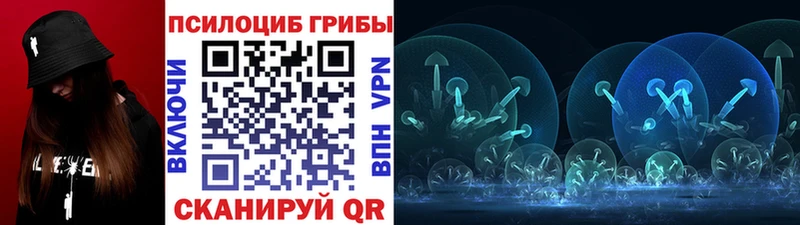 Галлюциногенные грибы Cubensis  Купить закладки  Сысерть 